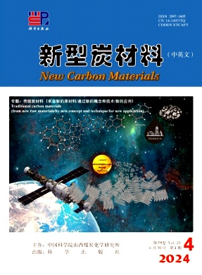 新型炭材料(中英文)封面